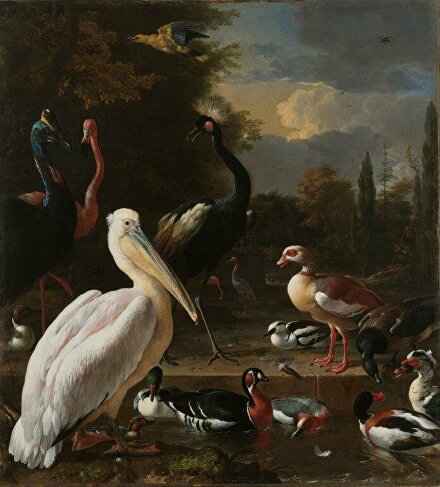 Paleis HetLoo WillemIII Mary drijvendveertje Melchior d'Hondecoeter oudemeesters rijkmuseum ginvi ginviart artgallery roetterdam art