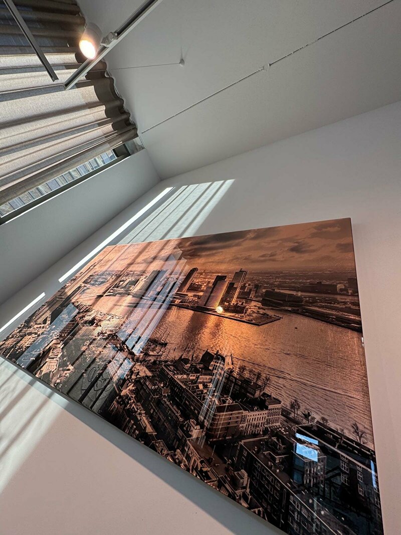 gouden schilderij, koper schilderij, bladkoper kunstwerk, koper kunstwerk, ginvi, schilderij kopen rotterdam, alexandrium kunstwerk kopen, kunst op maat